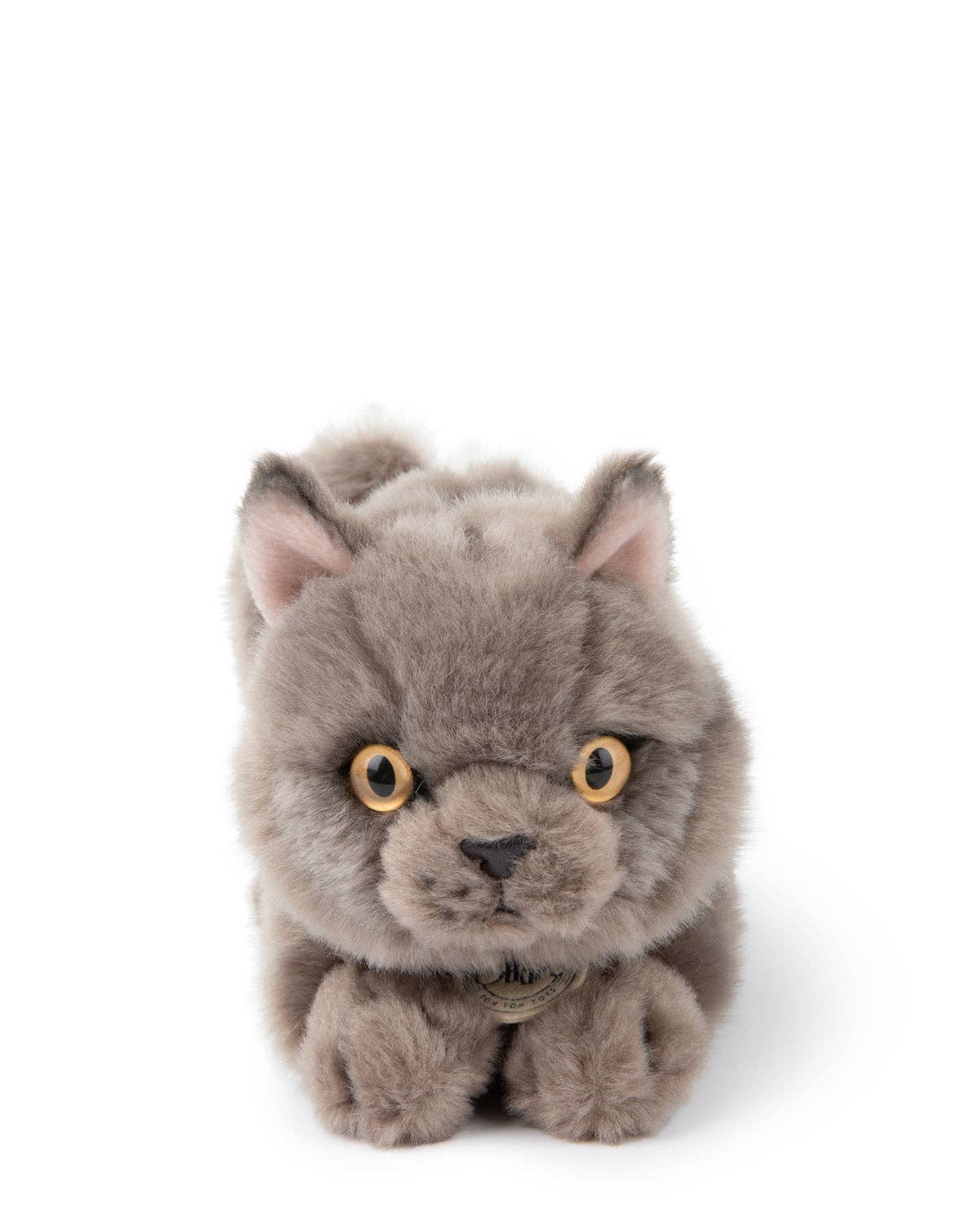 Plush BT CHAPS in Giftbox 6.5": 6.5" / Freddy The British Shorthair Floppy in Giftbox