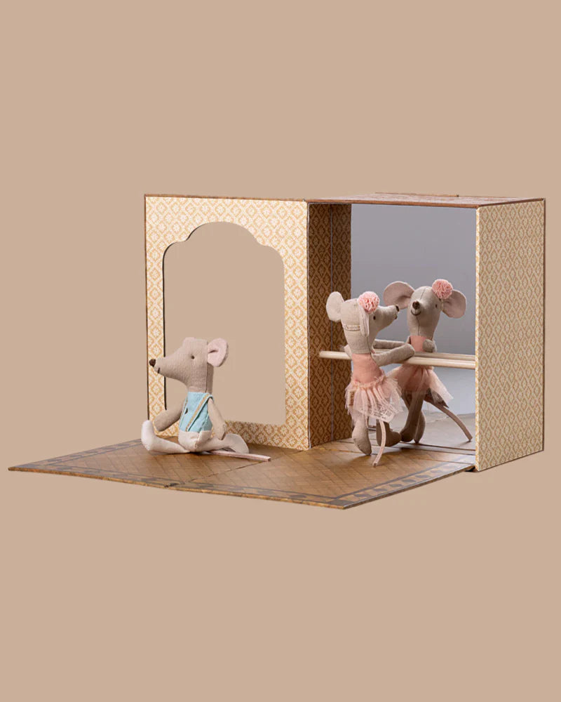Ballet Mice in Dance Studio, Little Sister and Brother