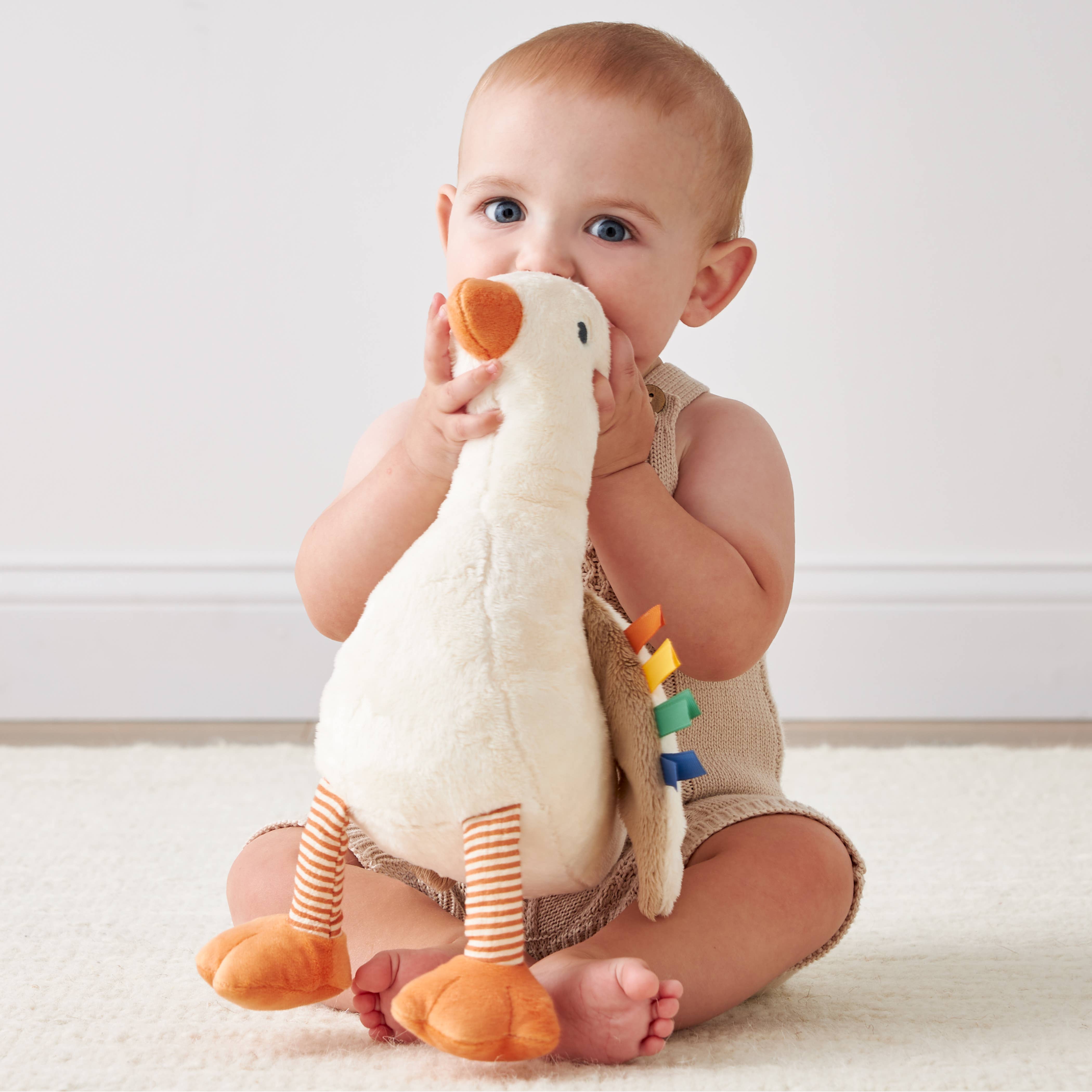 Sweetie Snuggles™ Plush: Goose