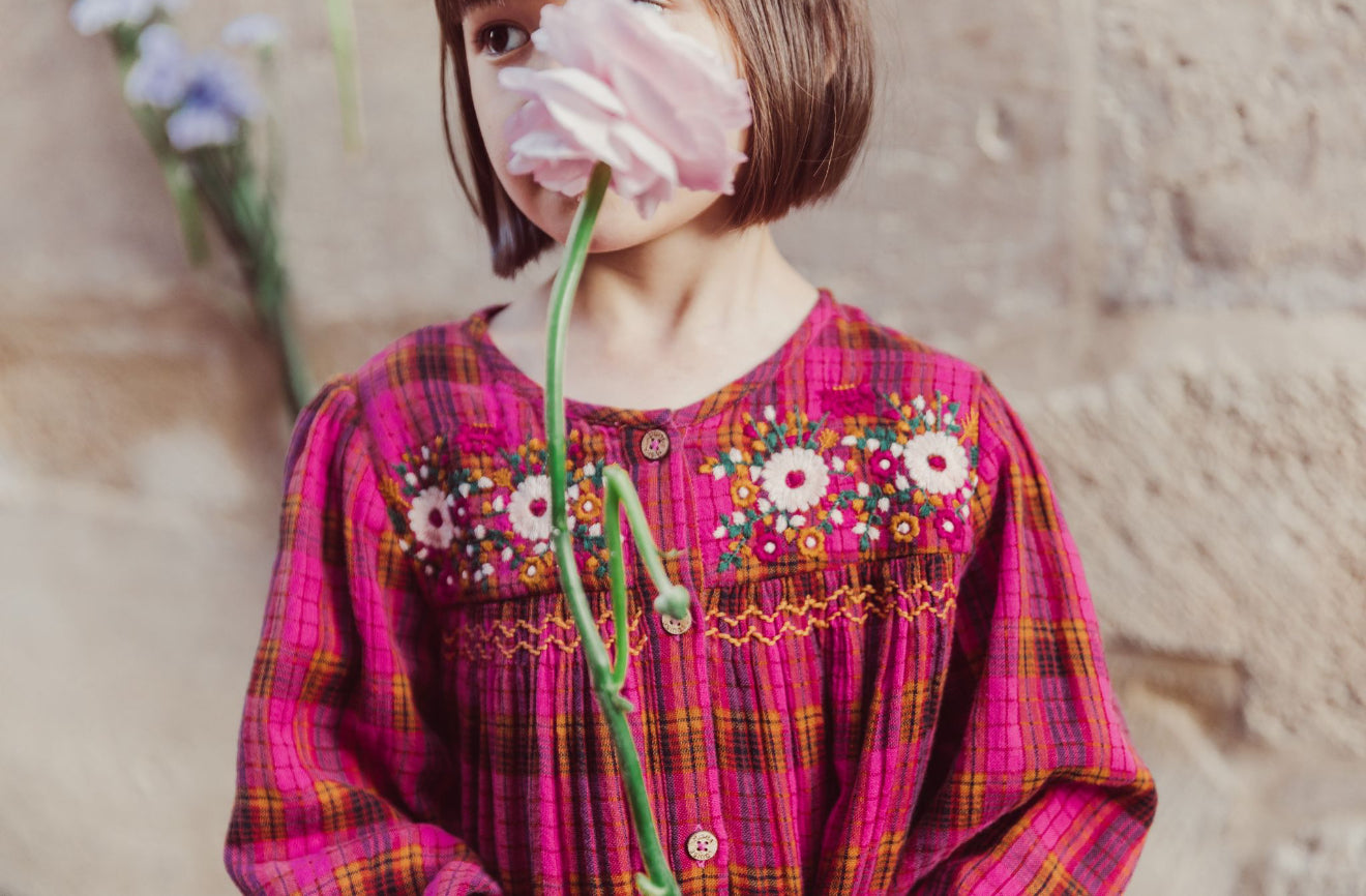 Massilia Dress - Pink Alp Checks