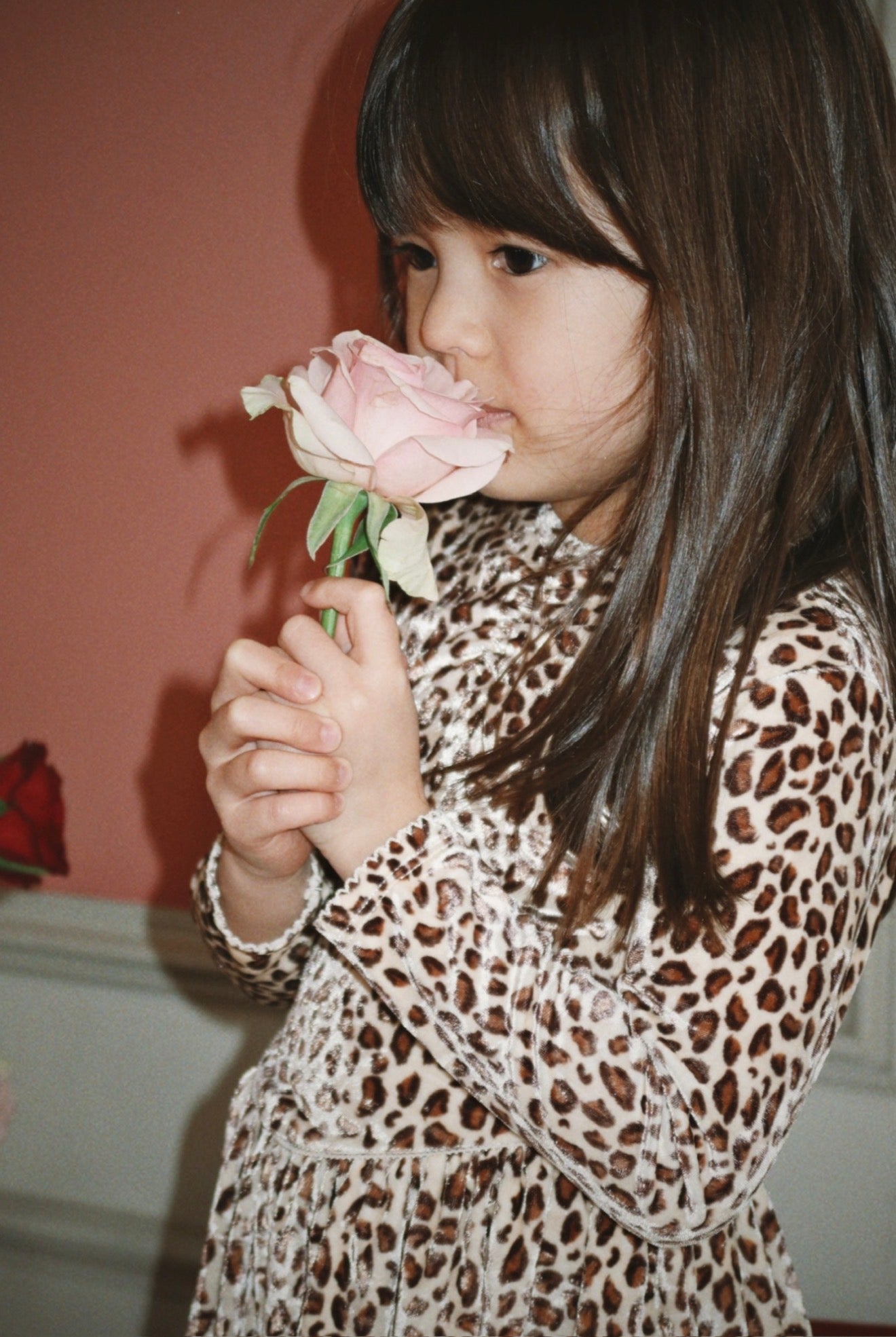 Carlito Dress GRS - Leo