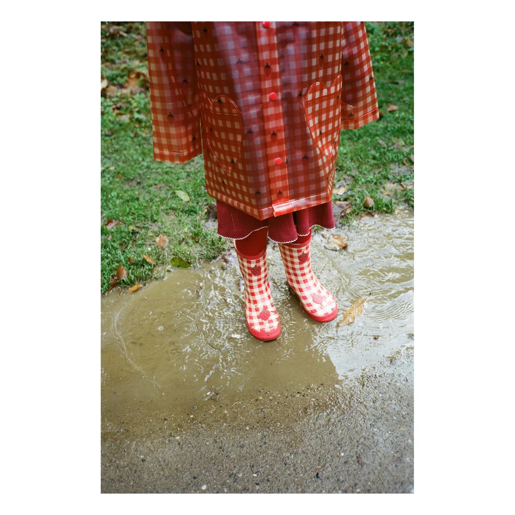 Iris Raincoat - Berry Gingham