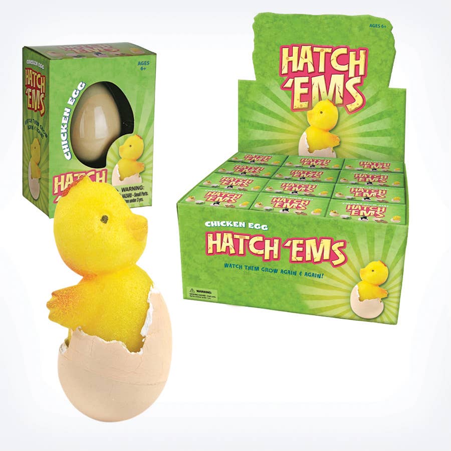 Chicken Eggs (Mini Hatch'ems) | Watch them Grow!