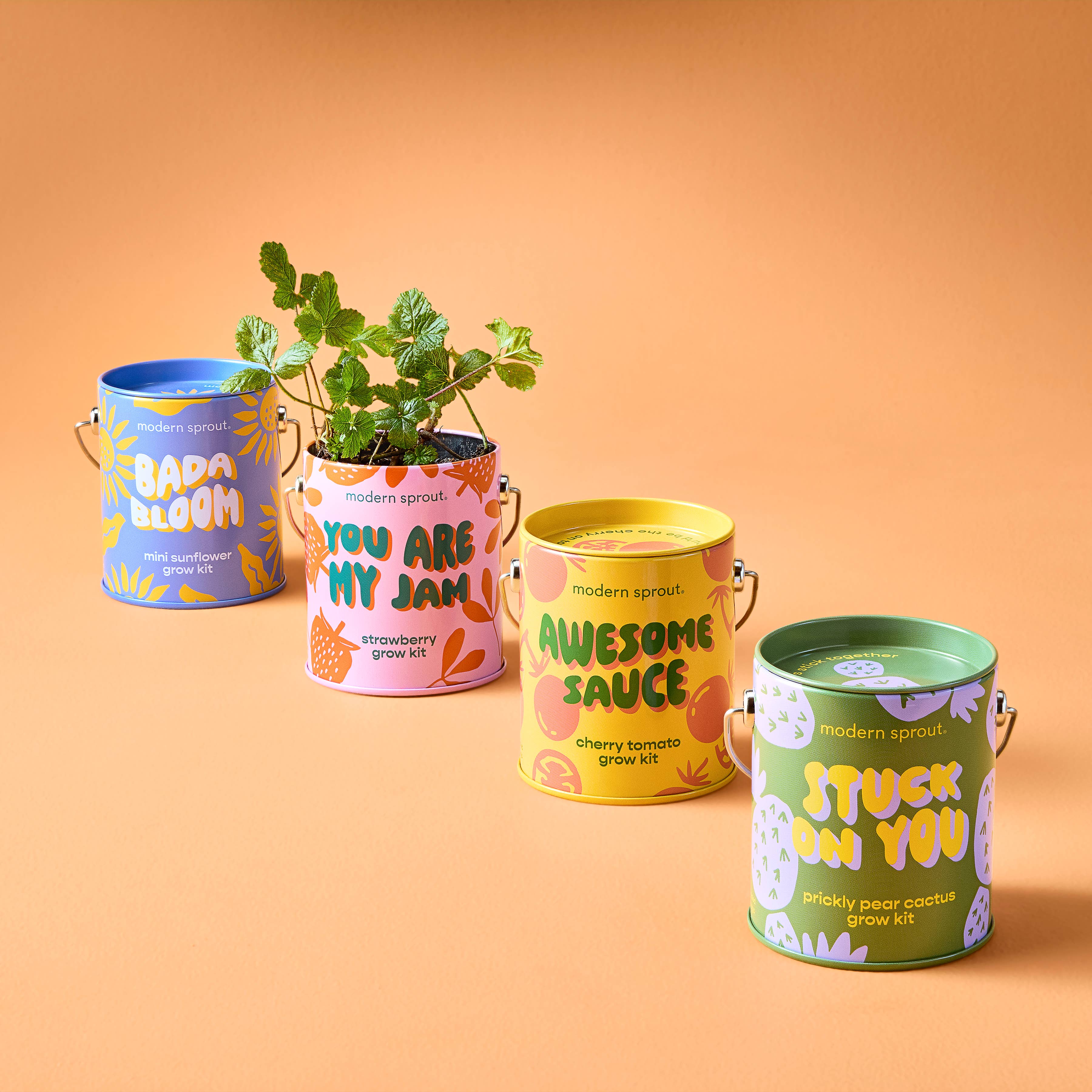 Color Grow Kits: You are My Jam