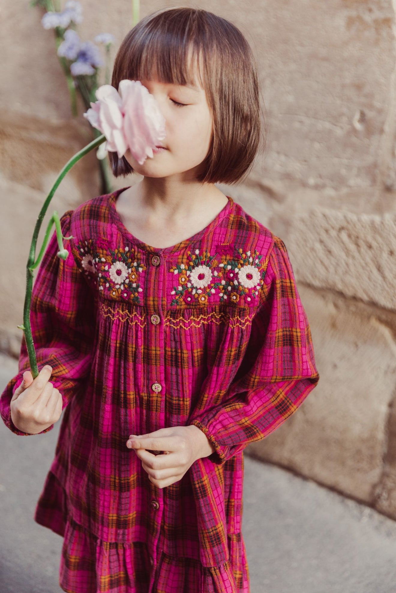 Massilia Dress - Pink Alp Checks