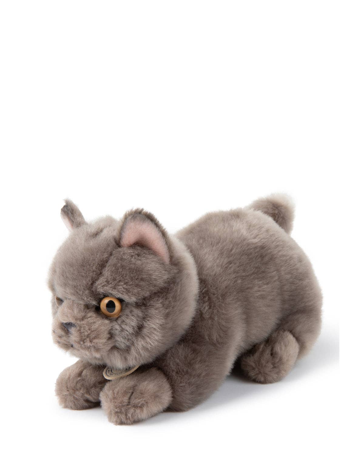 Plush BT CHAPS in Giftbox 6.5": 6.5" / Freddy The British Shorthair Floppy in Giftbox