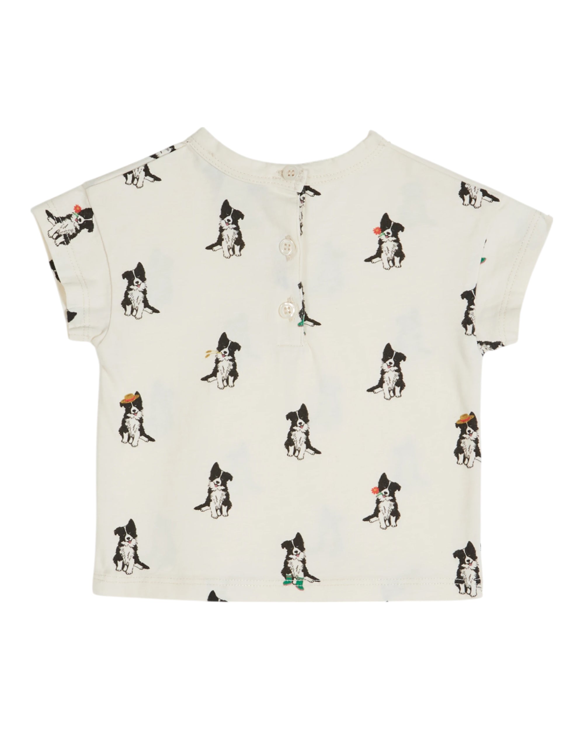 Printed Tee Shirt  - Border Creme