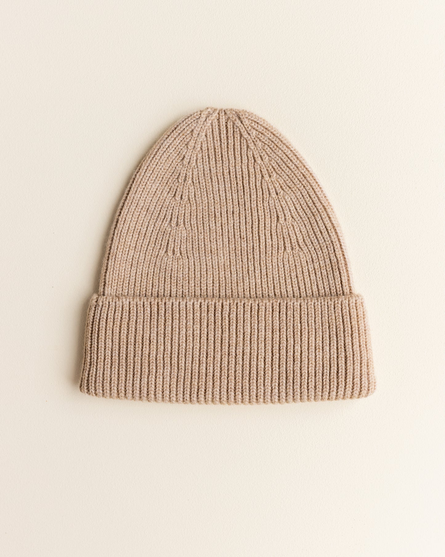Beanie Fonzie