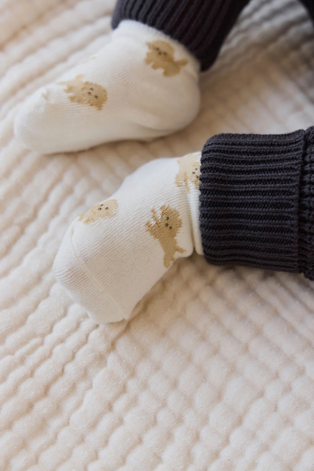 Milo Socks - Milo Pristine