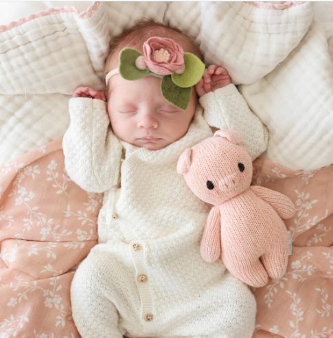 Baby Piglet