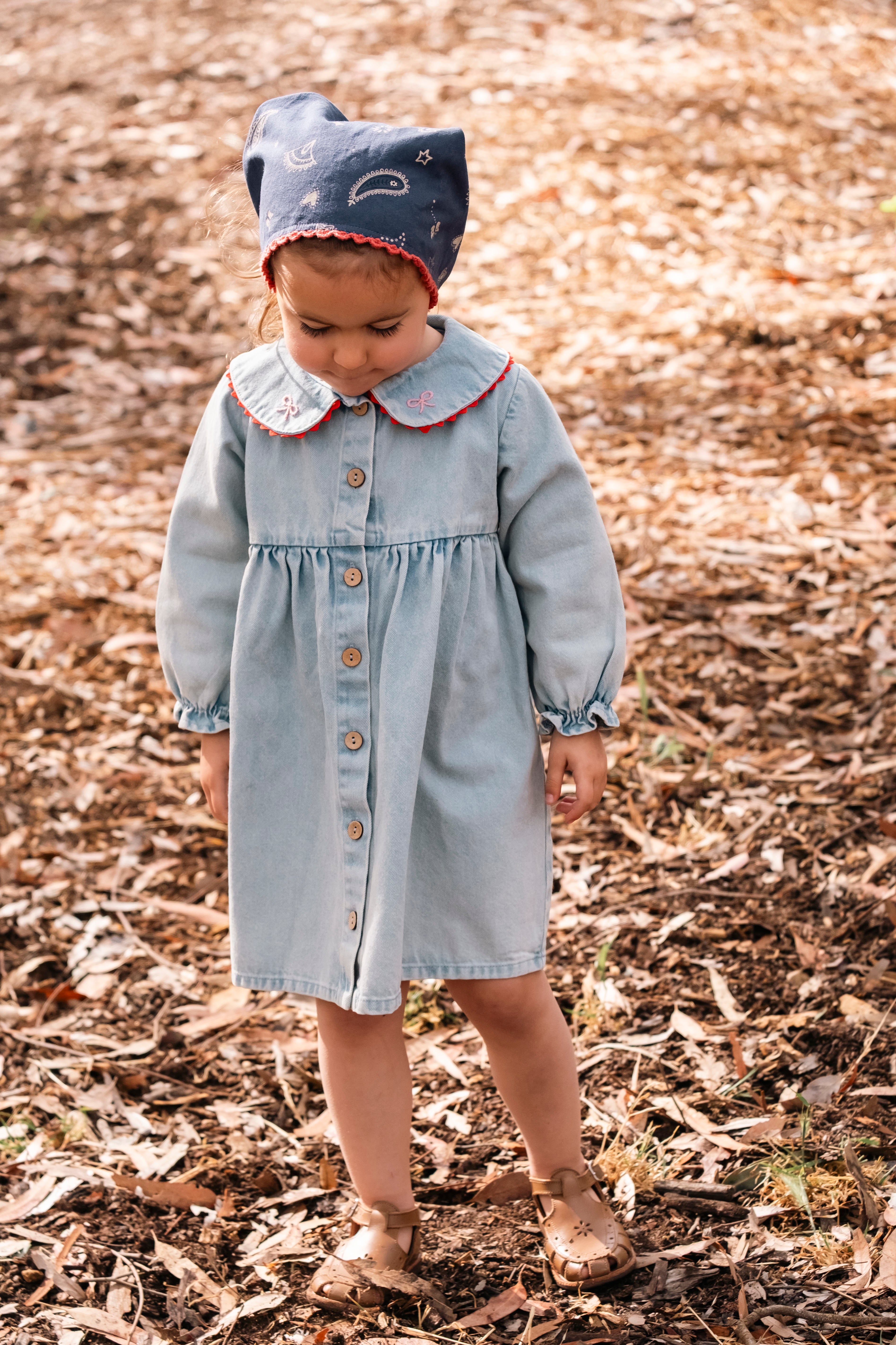 Clementine Dress - Denim Darling