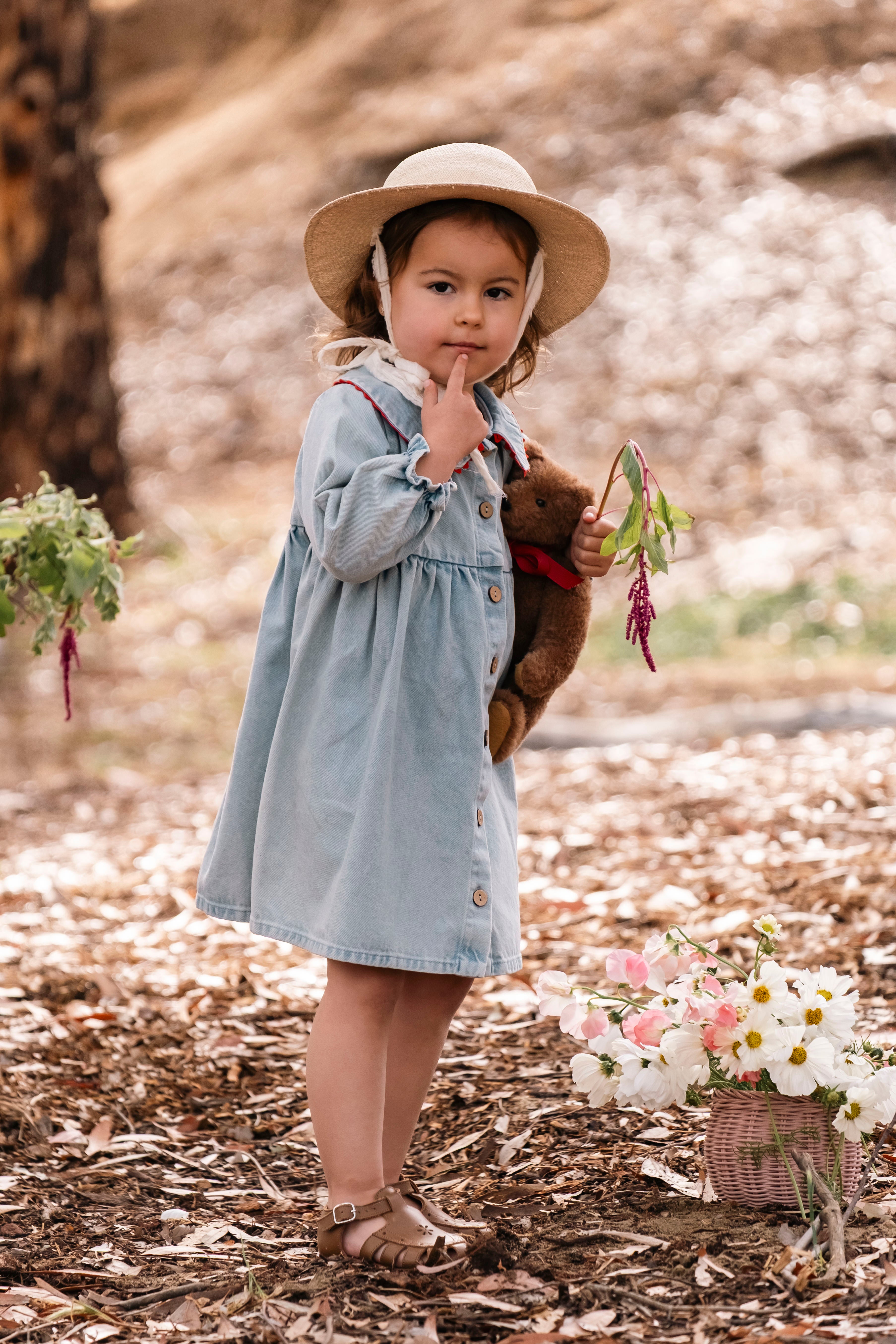 Clementine Dress - Denim Darling