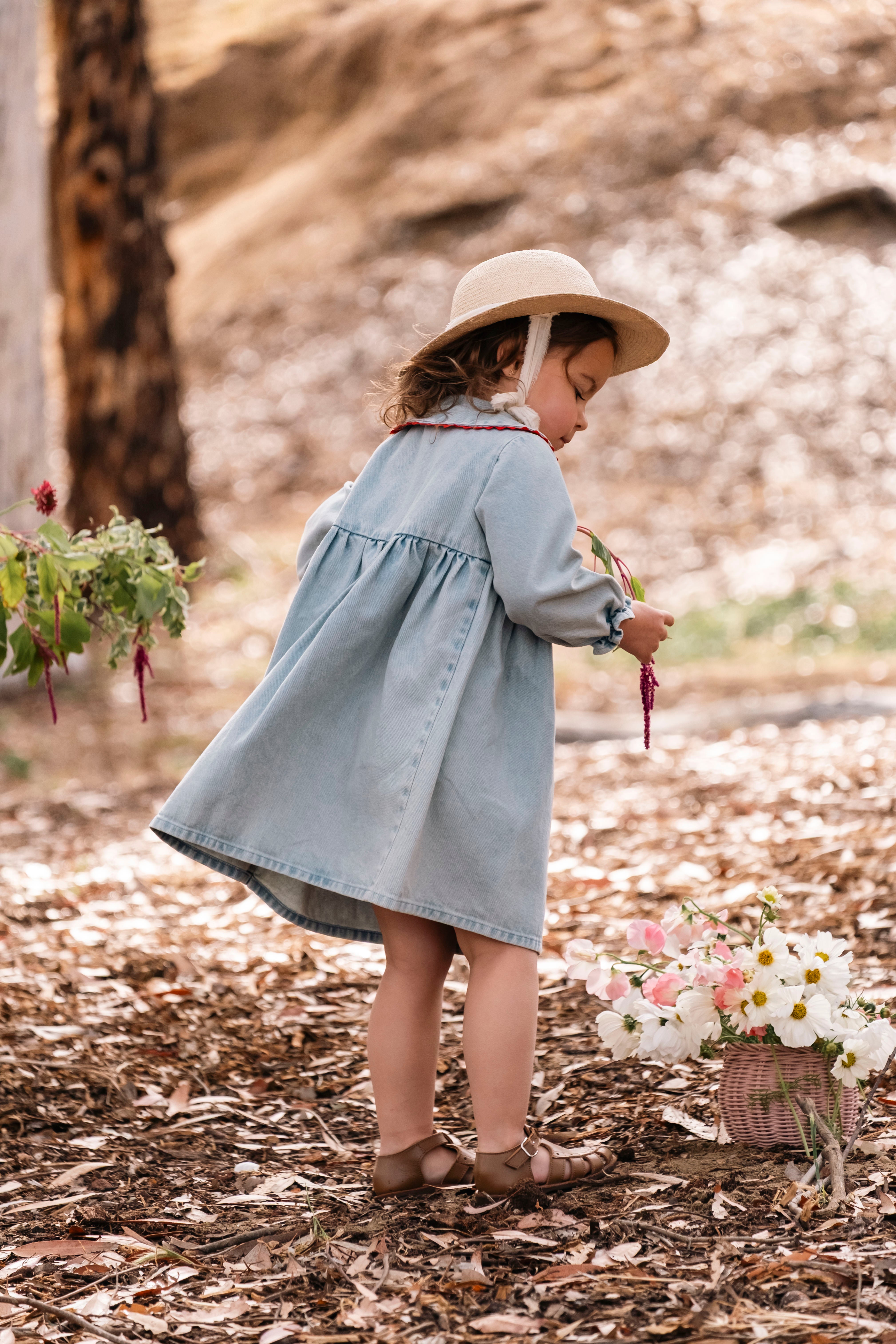 Clementine Dress - Denim Darling