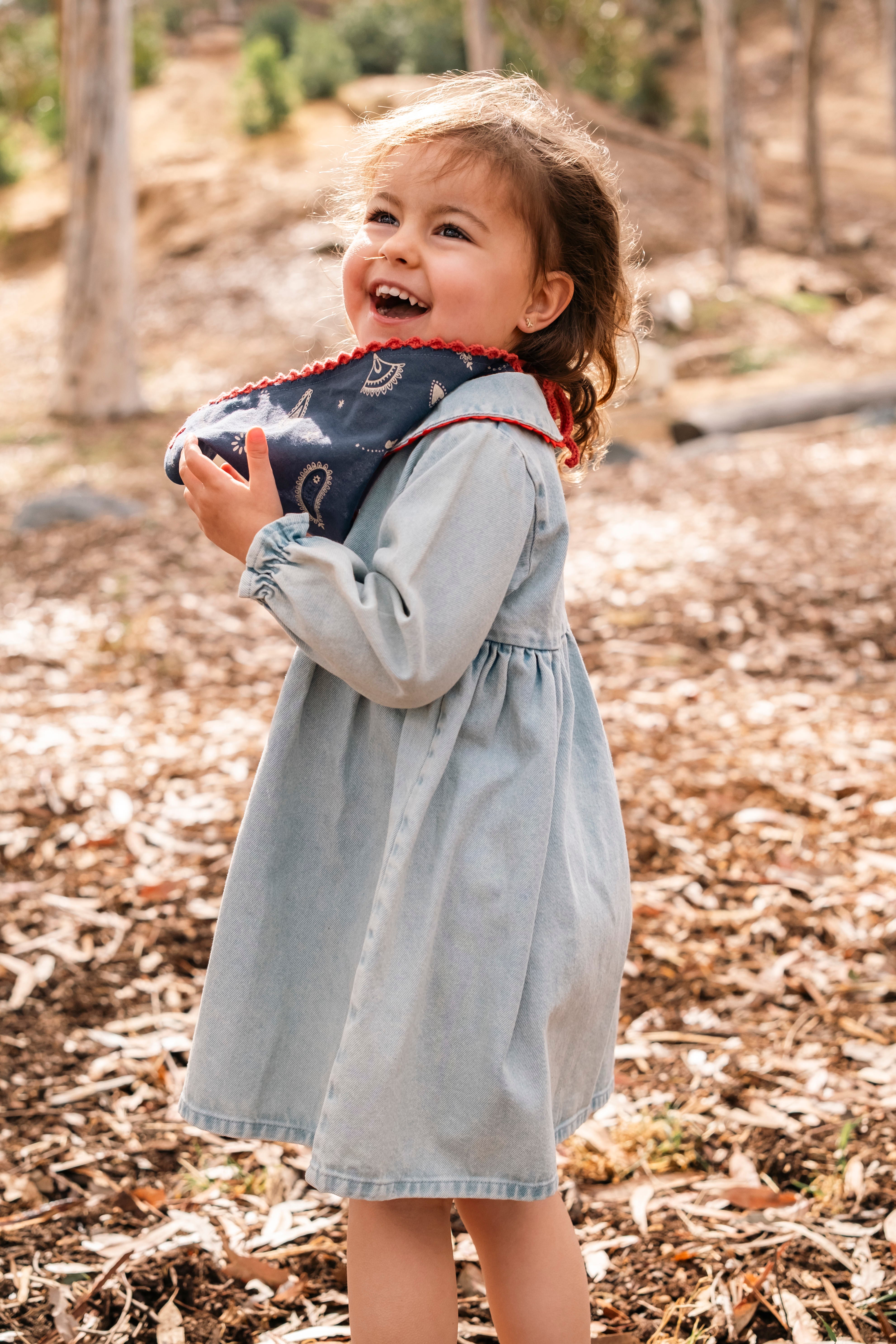 Clementine Dress - Denim Darling