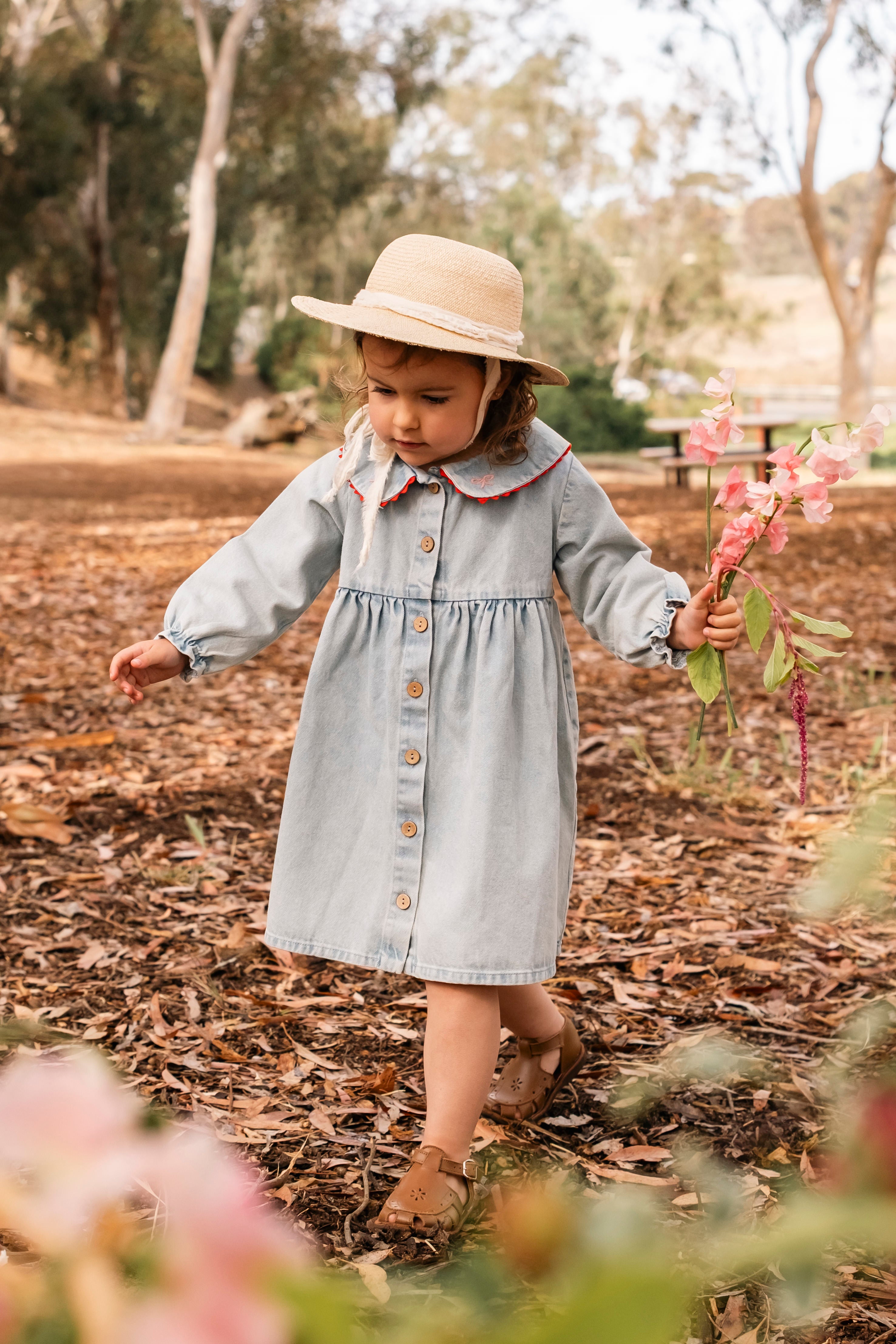 Clementine Dress - Denim Darling