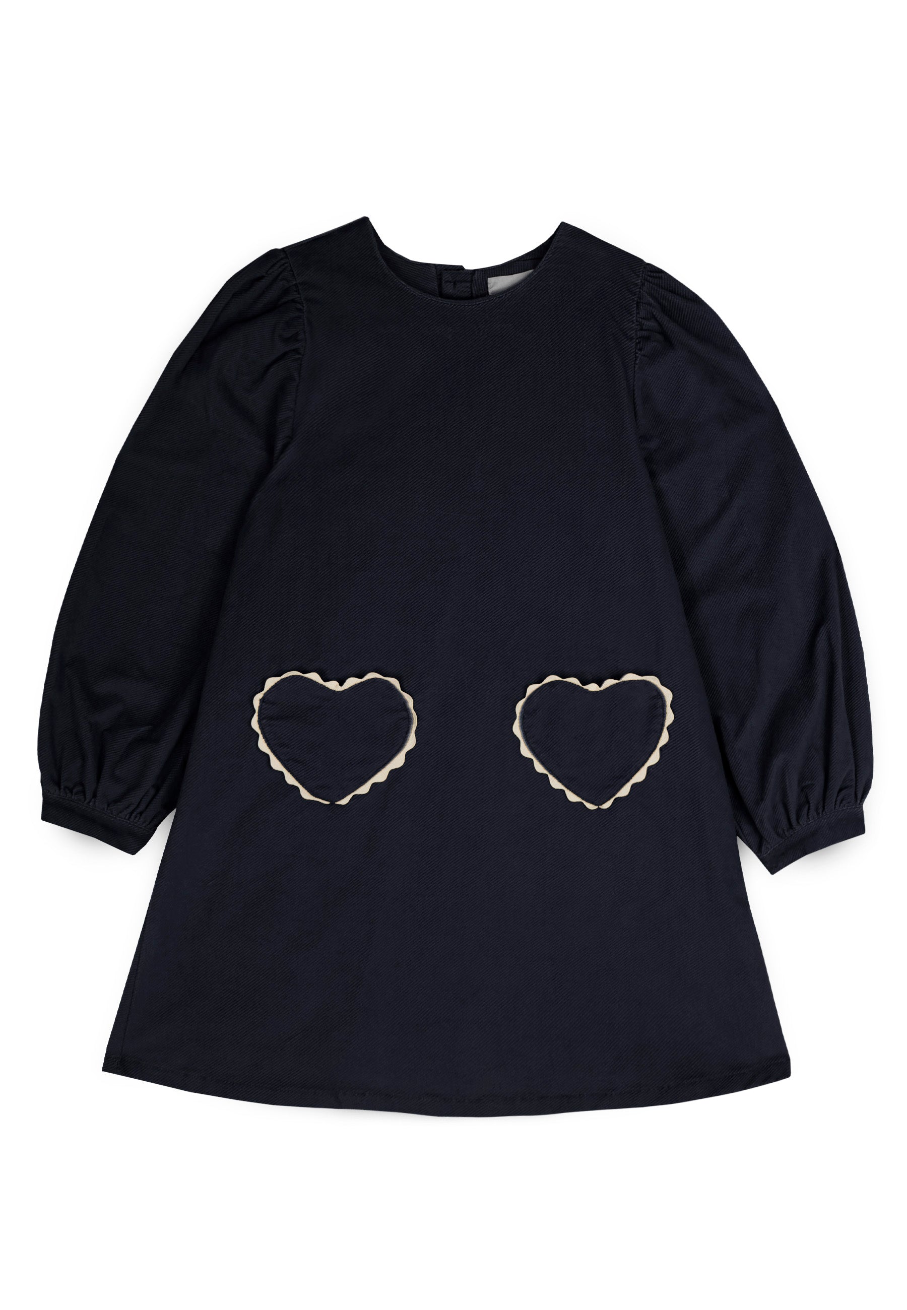 Clotilde Velvet Dress - Blue