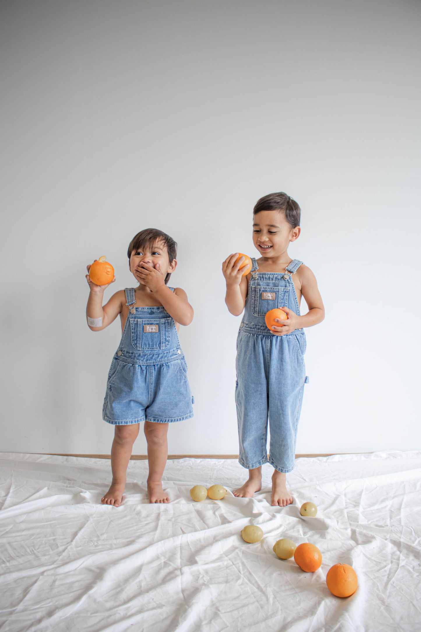CARPENTER OVERALL - TRADIE BLUE