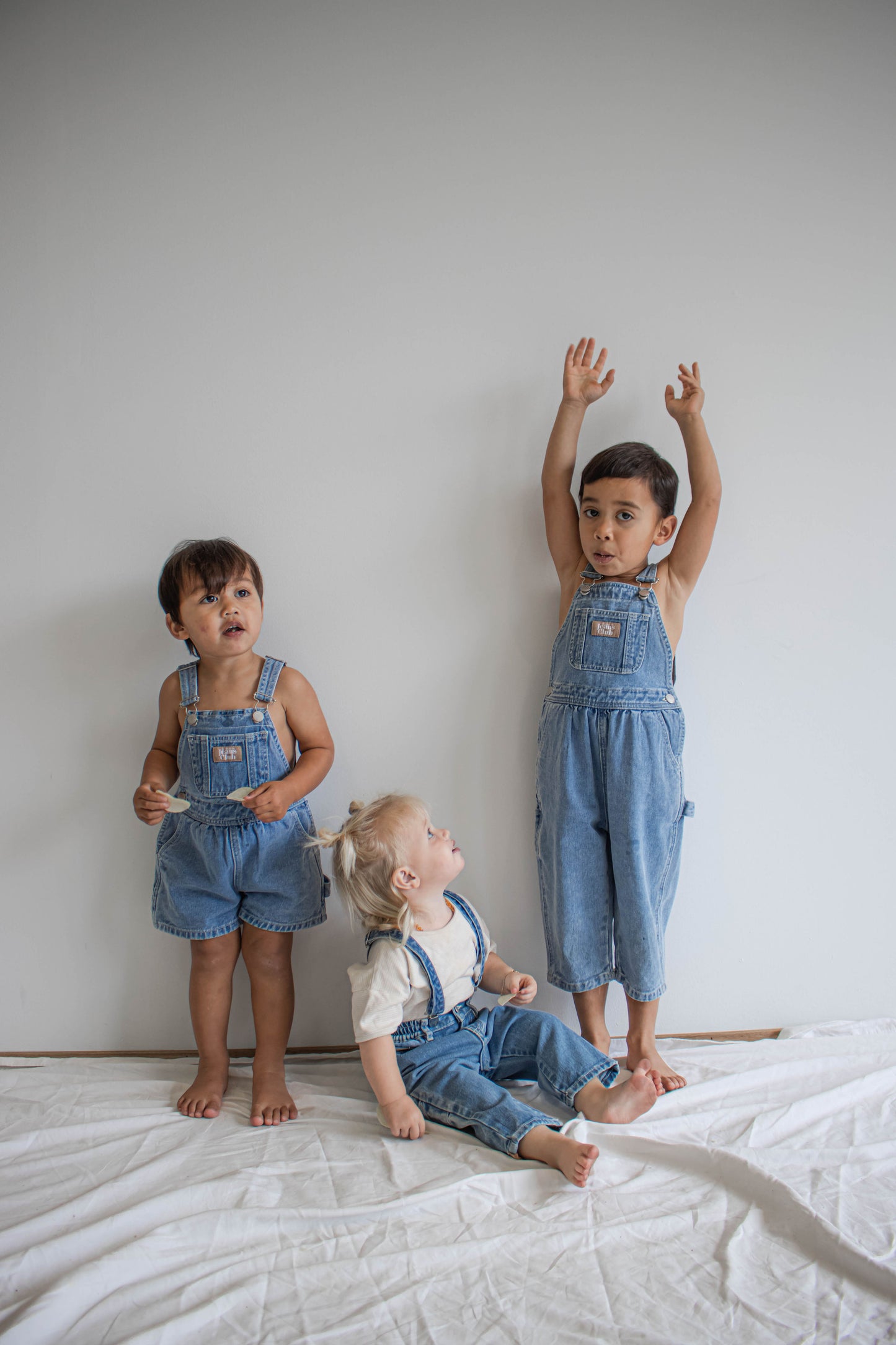 CARPENTER OVERALL - TRADIE BLUE