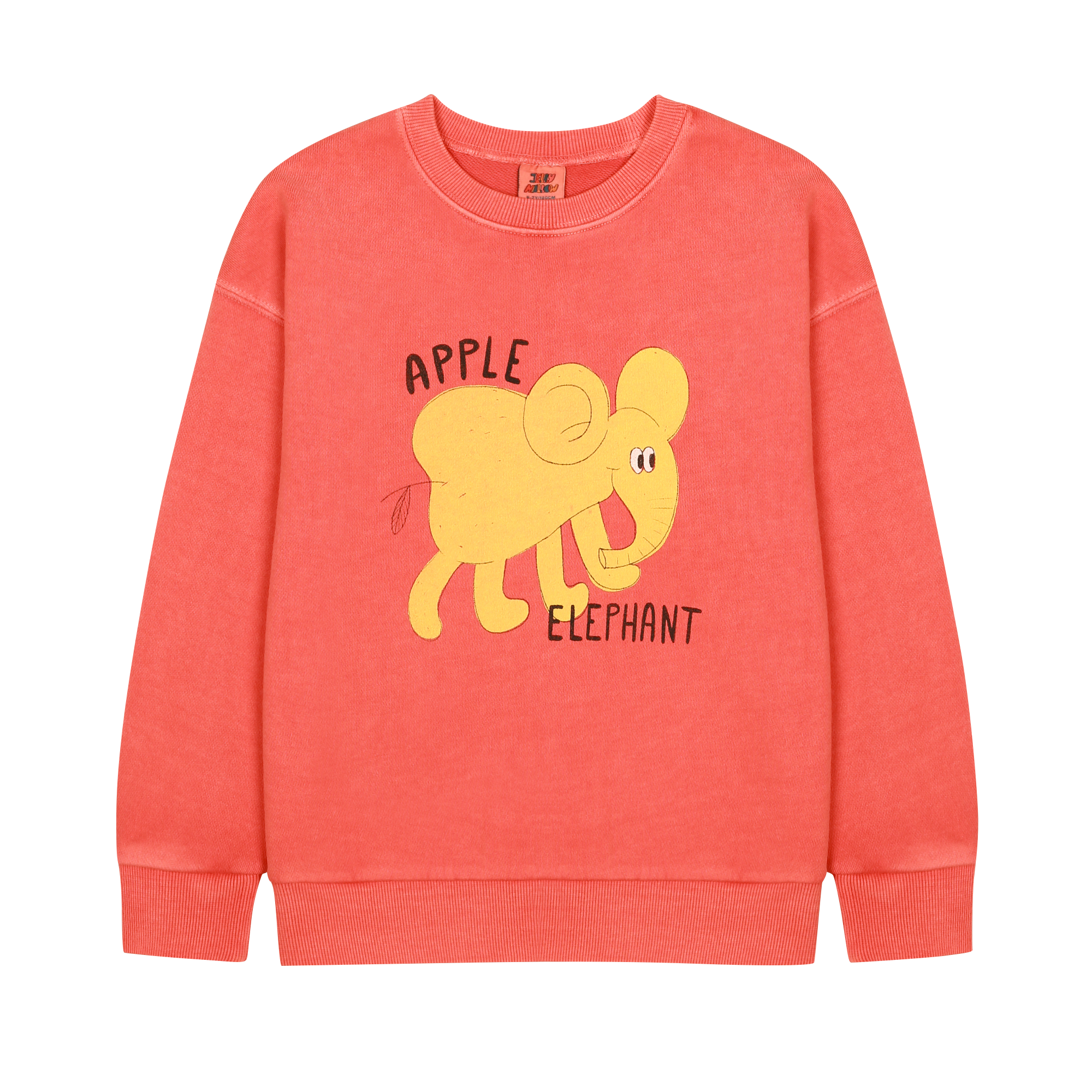 Elephant Pigment Sweatshirt - Red Orange