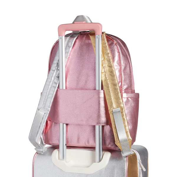 Kane Backpack - Pink, Silver