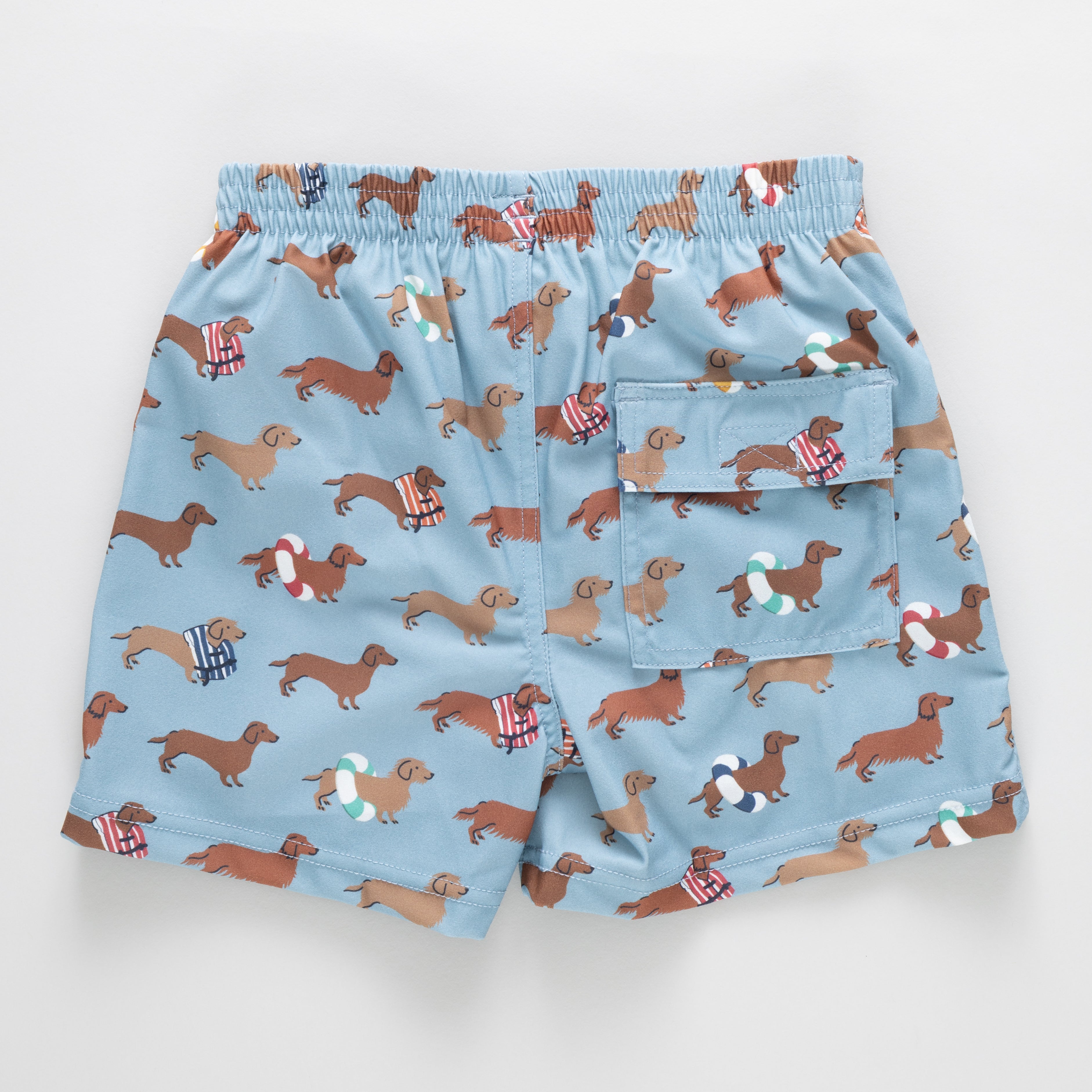 Boys Swim Trunk - Swim Dachshunds