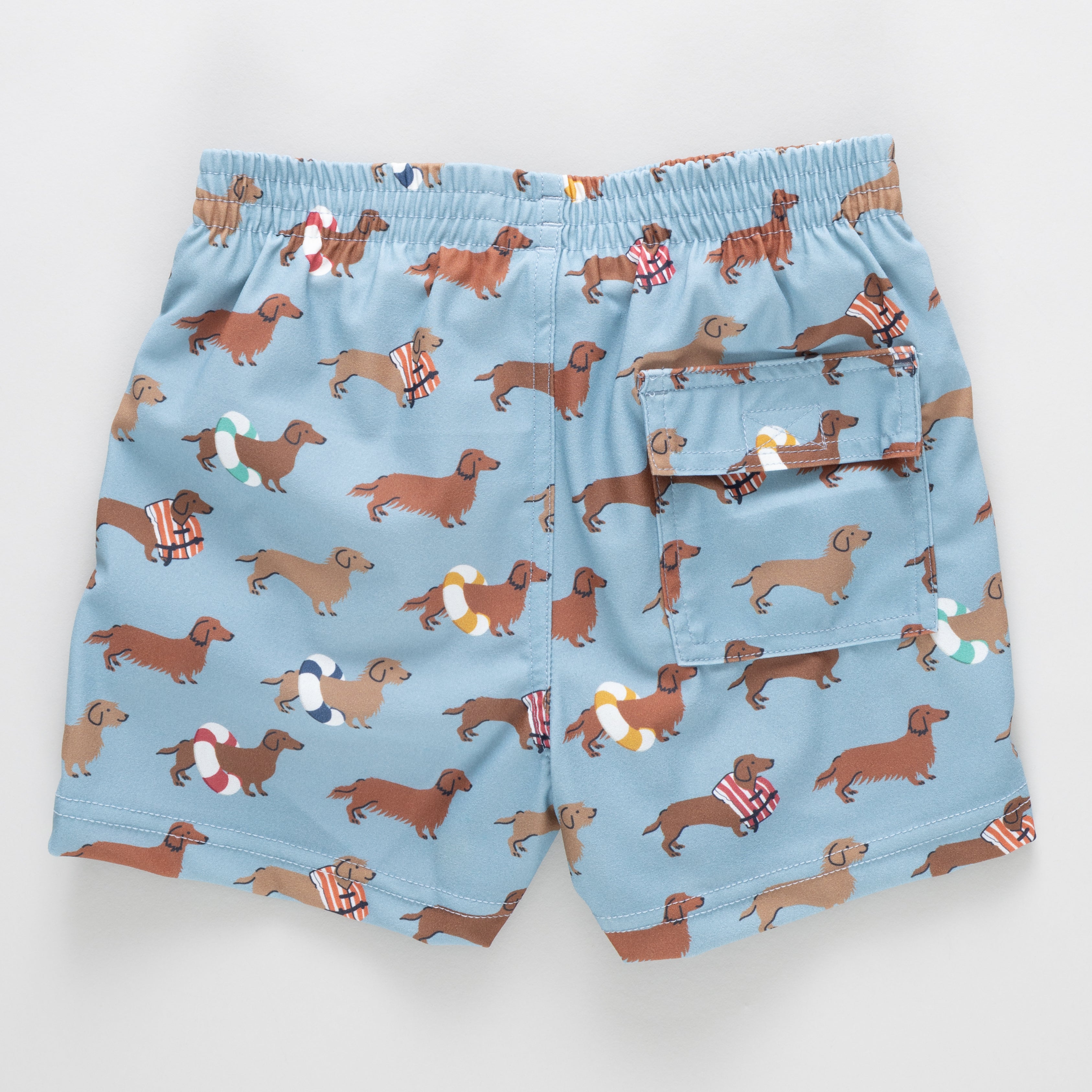 Baby Boys Swim Trunk - Swim Dachshunds
