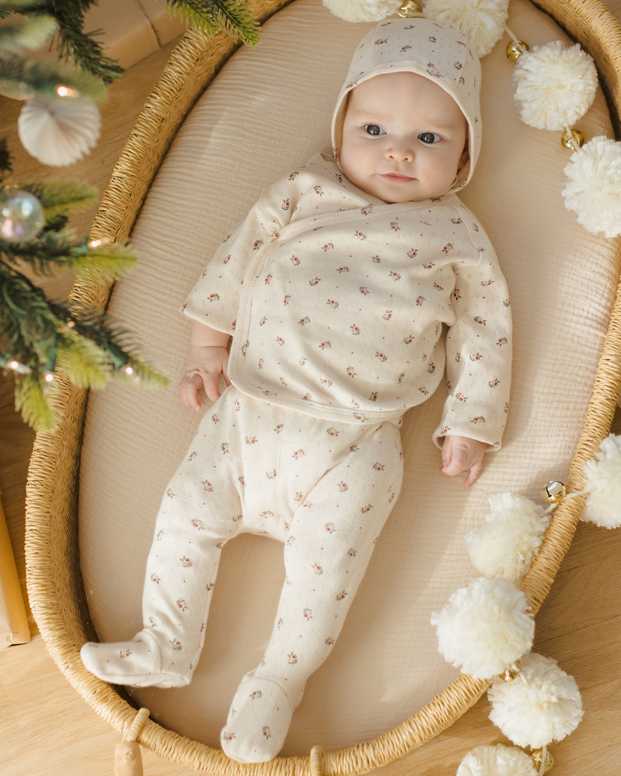 Take Home Set || Holly Berry