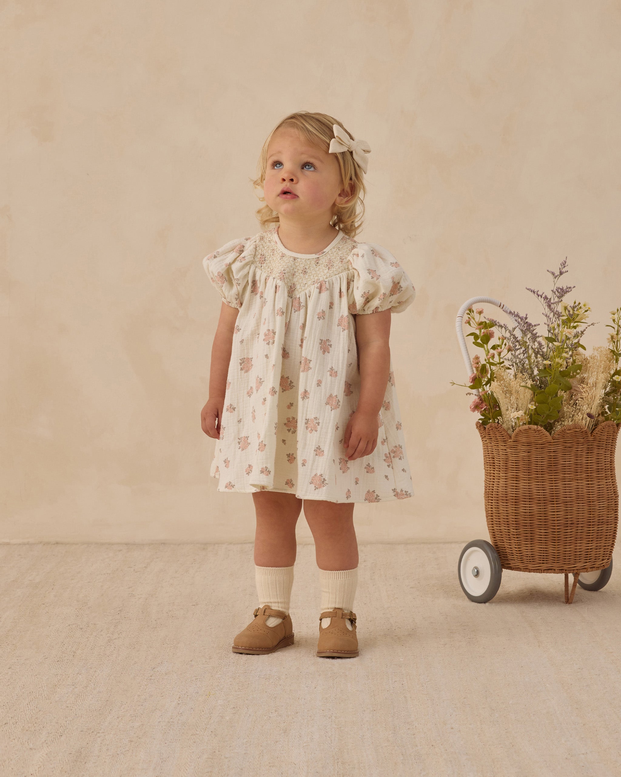 Carina Dress || Garden Rose