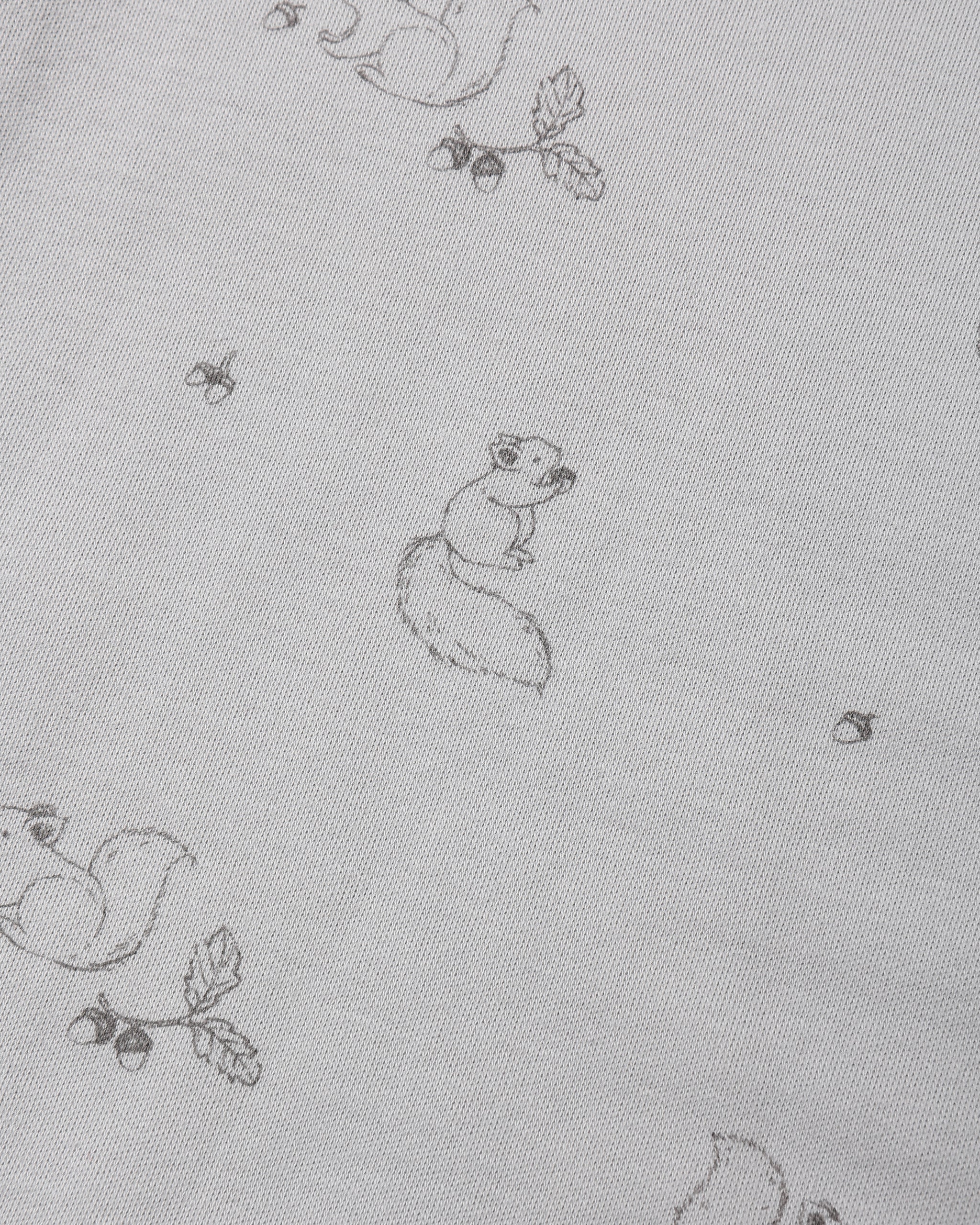 Jersey Bodysuit, 2 Pack Squirrel - Cloud Stripe