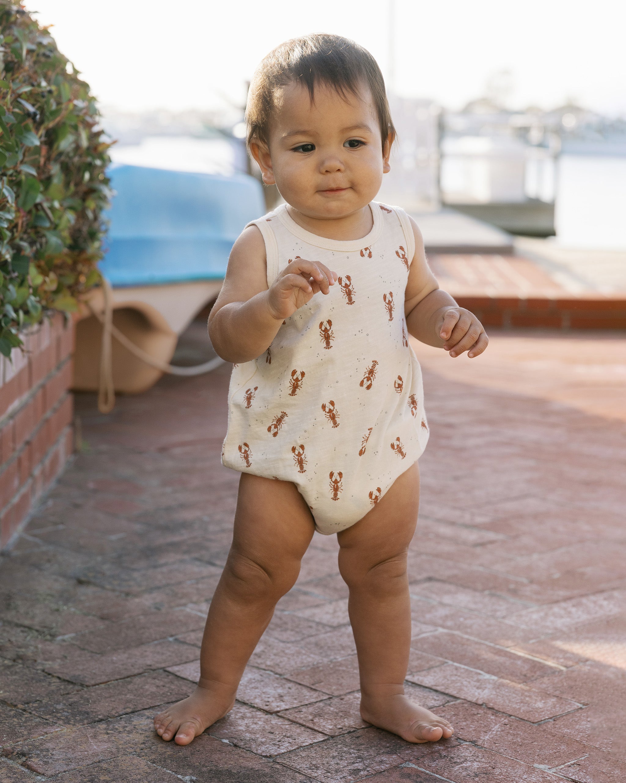 Bubble Onesie || Lobsters