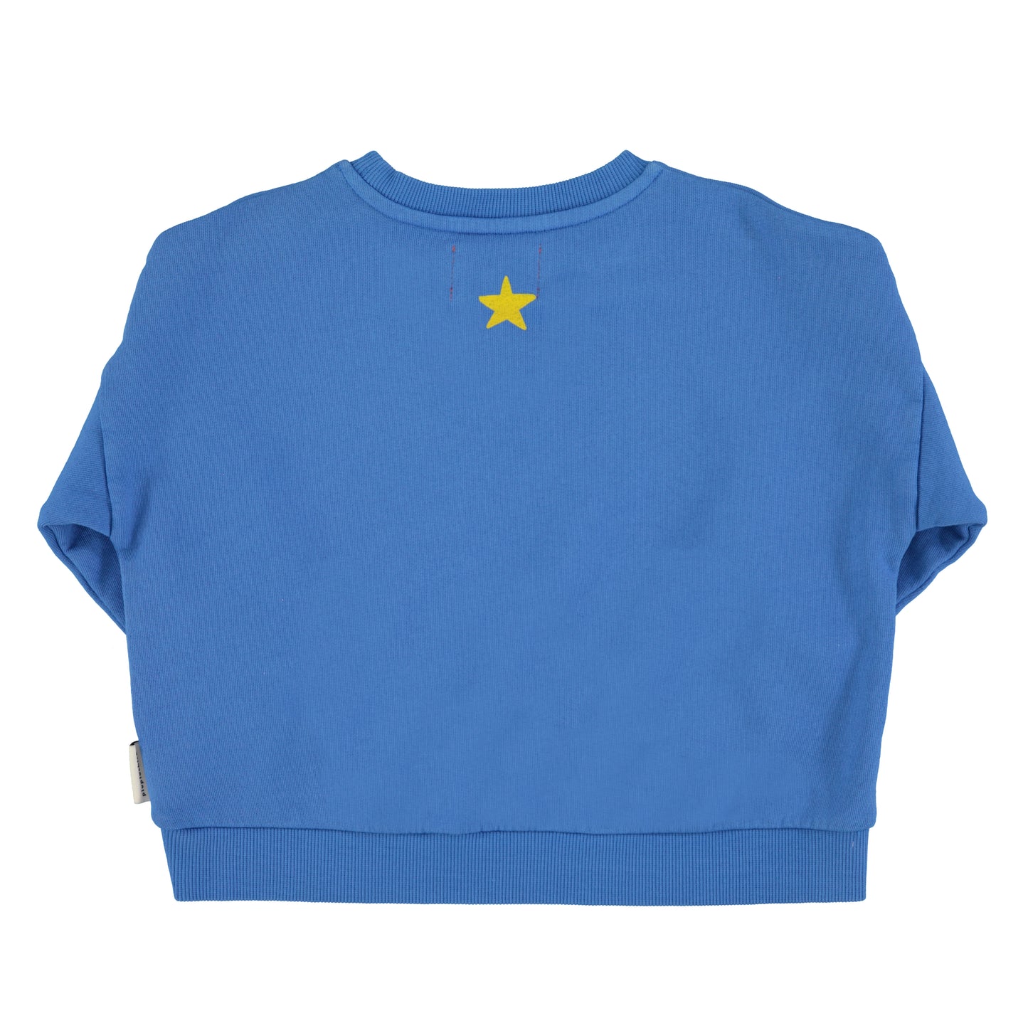 Sweatshirt | Blue w/ “Fantastic” Print