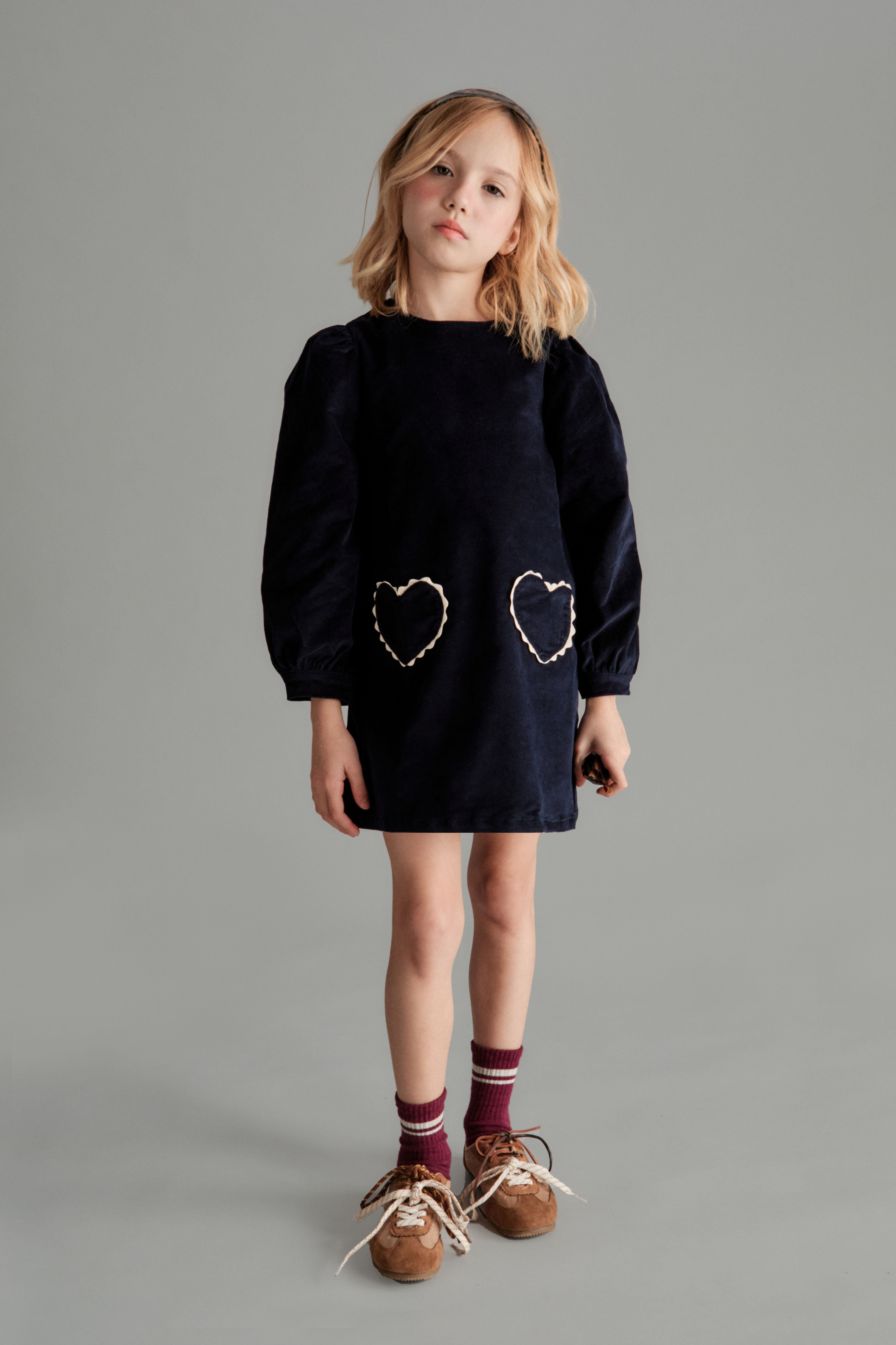 Clotilde Velvet Dress - Blue