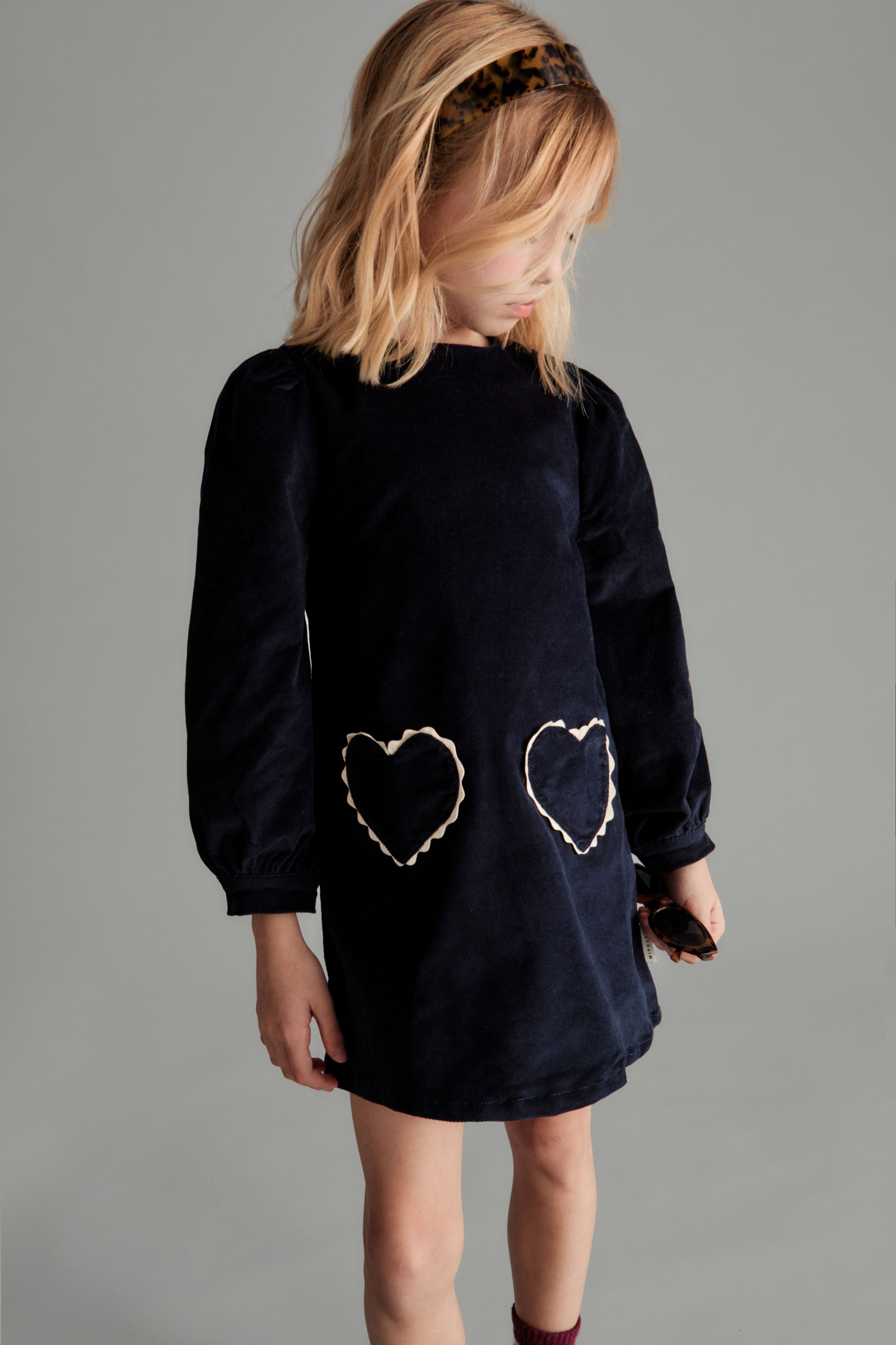 Clotilde Velvet Dress - Blue