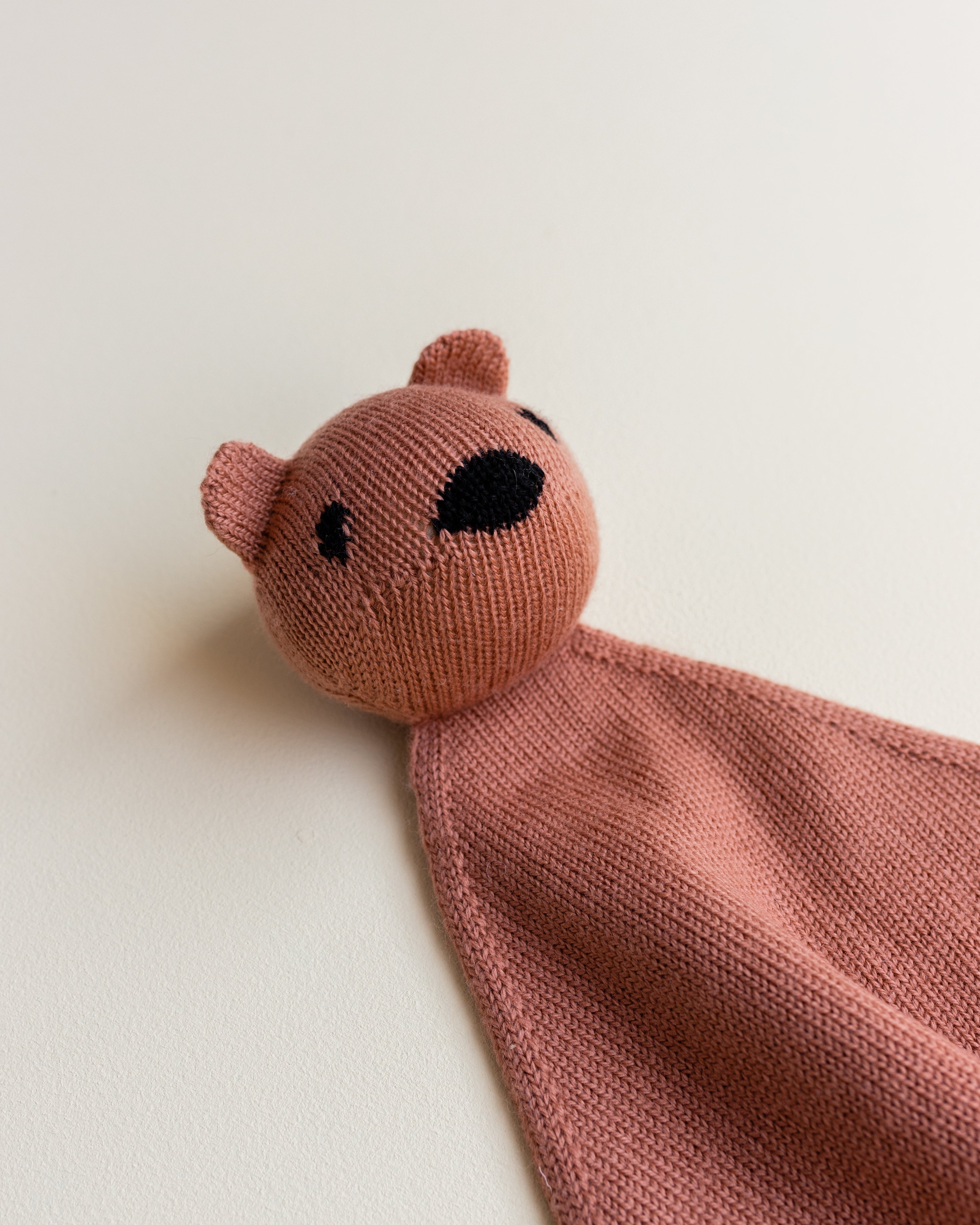 Teddy Tokki