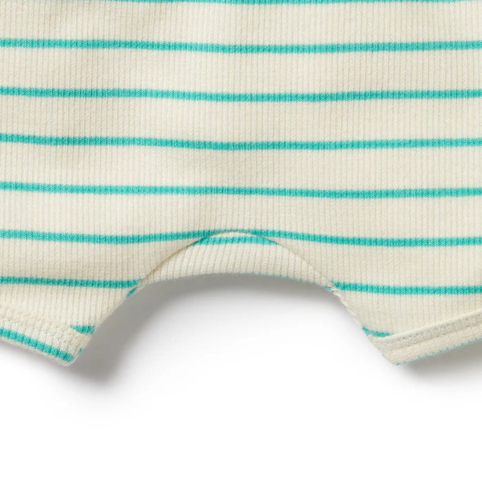 Petit Green Organic Short