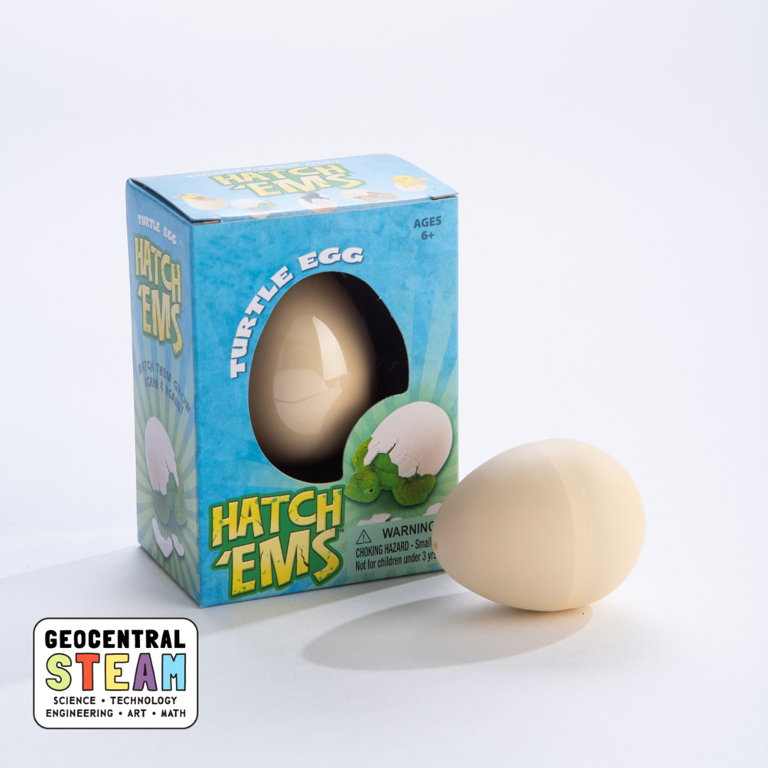 Turtles (Mini Hatch'ems) | Watch them Grow!