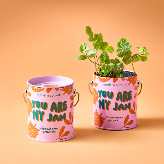 Color Grow Kits: You are My Jam
