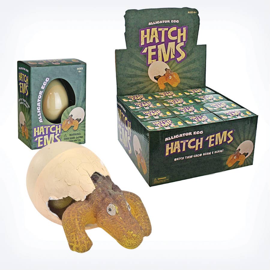 Alligators (Mini Hatch'ems) | Watch them Grow!