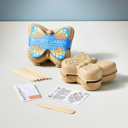 Curious Critters Activity Kit: Butterfly
