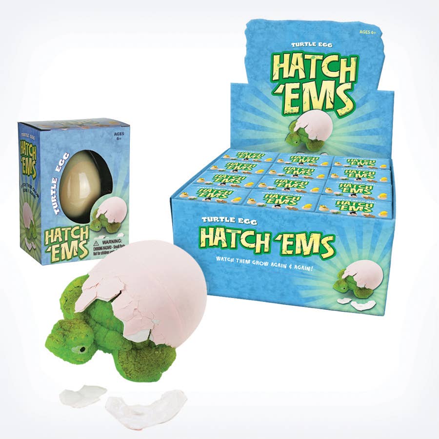 Turtles (Mini Hatch'ems) | Watch them Grow! – Little Waves Kids