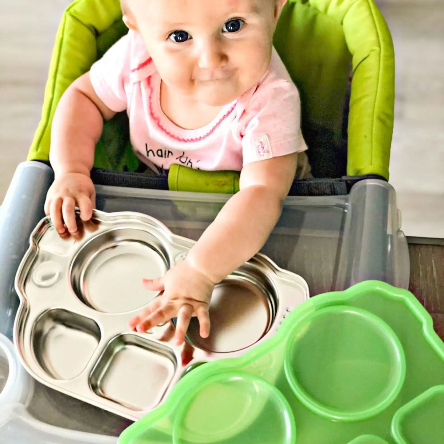 Stainless Steel Divided Plate w/Lid - Blue