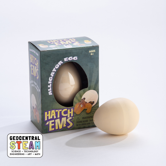 Alligators (Mini Hatch'ems) | Watch them Grow!