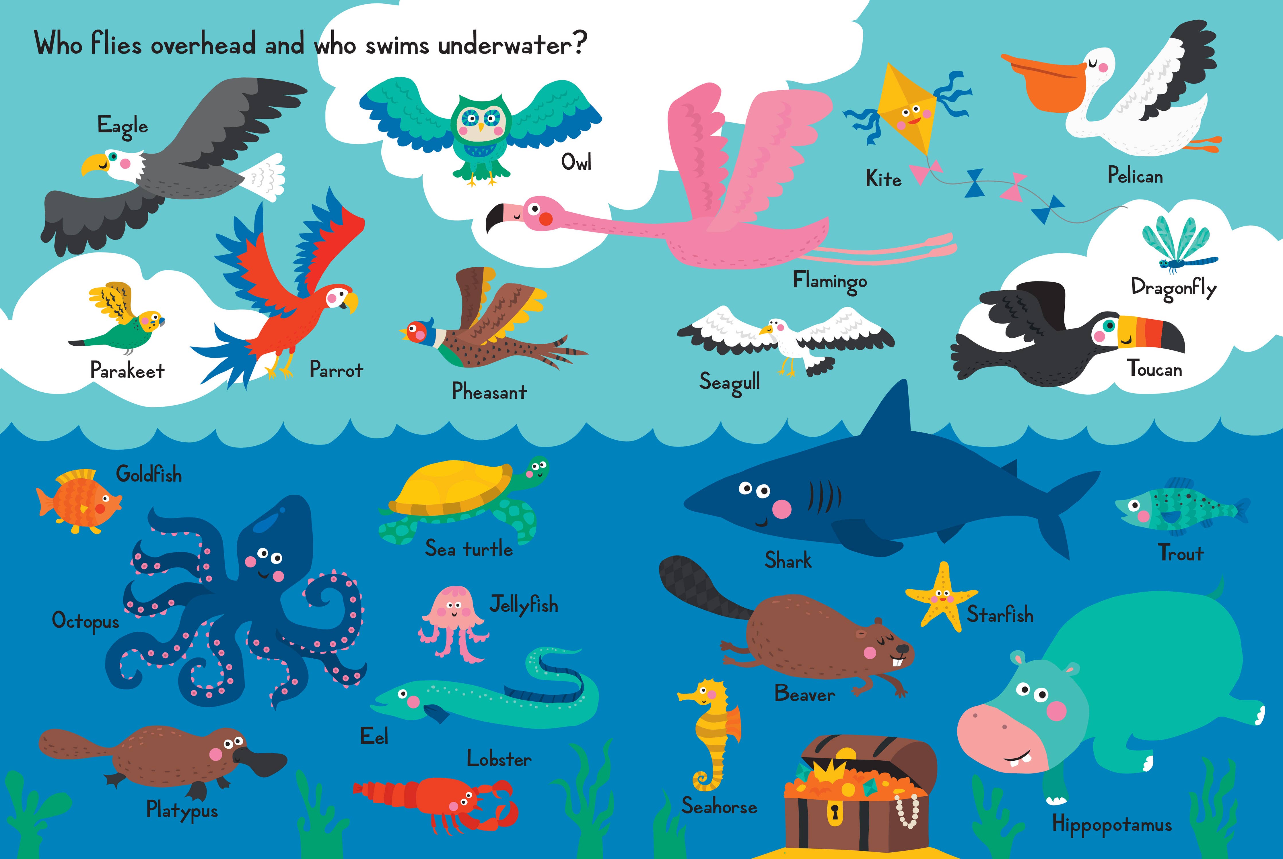 My Book of Animal Opposites