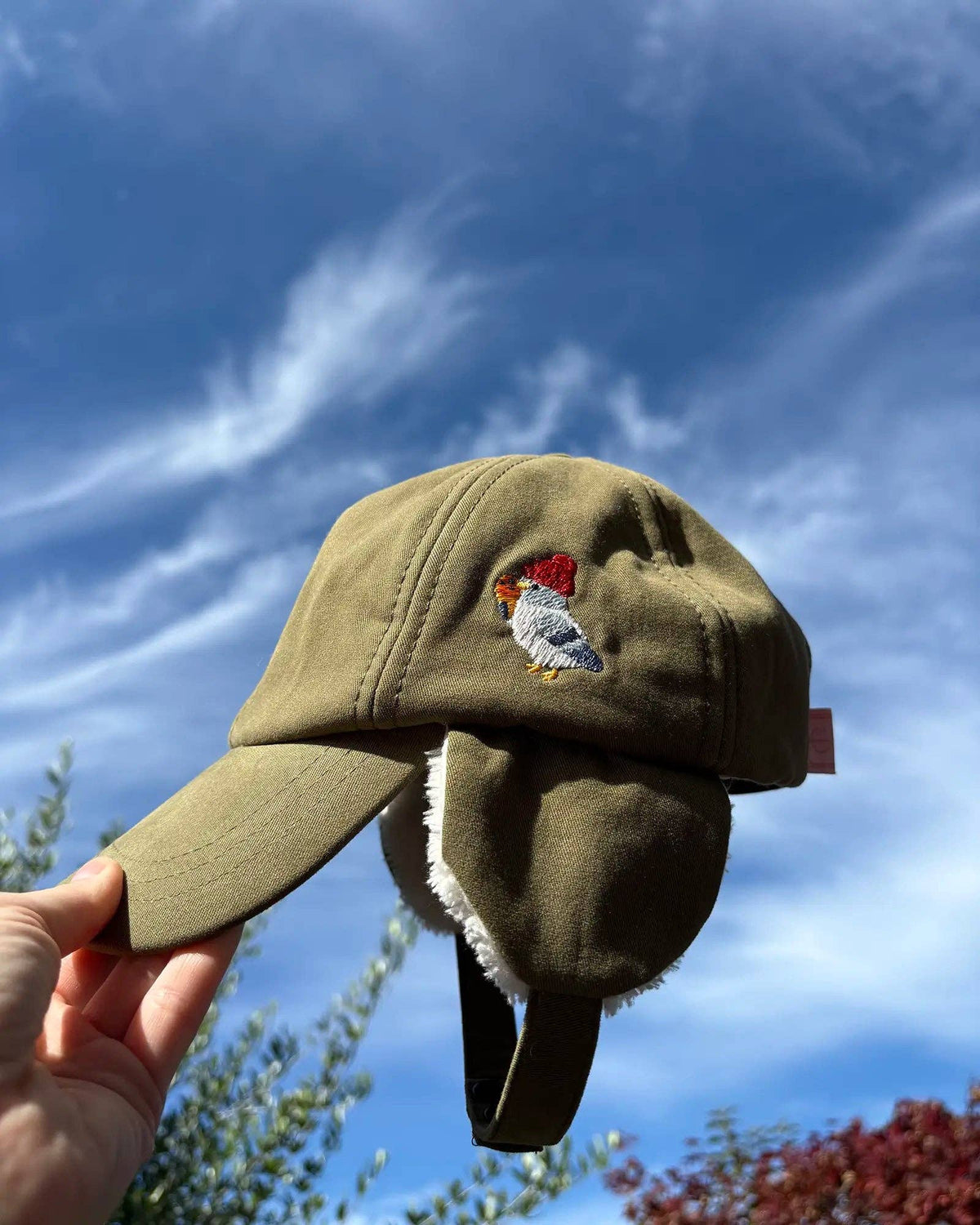 Coco Pistache Winter Cap with Earflaps: 1-2½ years