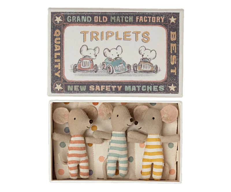 Baby Triplets in Box