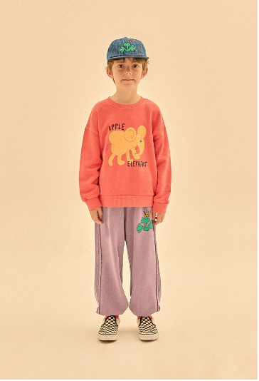 Elephant Pigment Sweatshirt - Red Orange