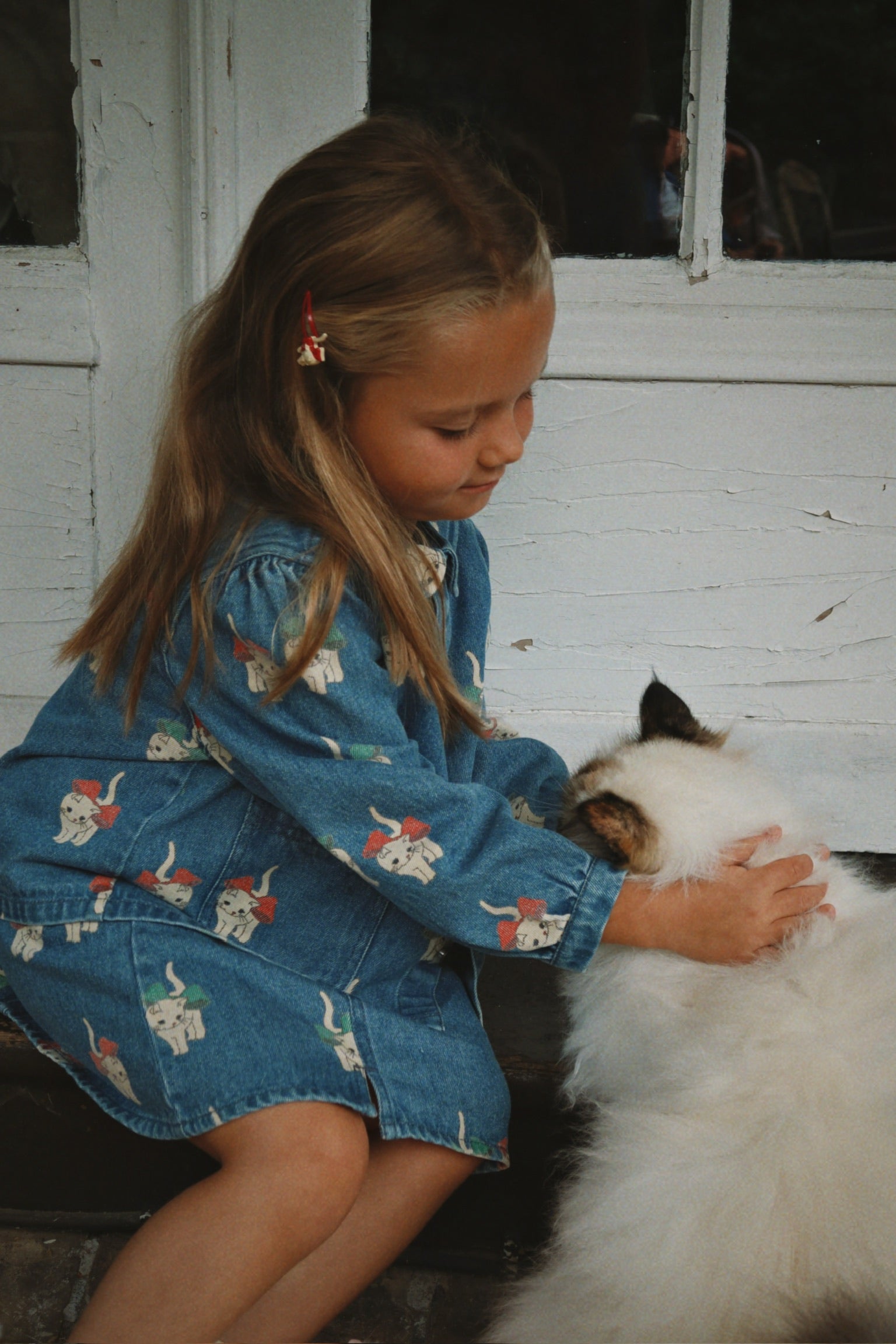 Magot Dress GOTS - Bow Kitty Denim