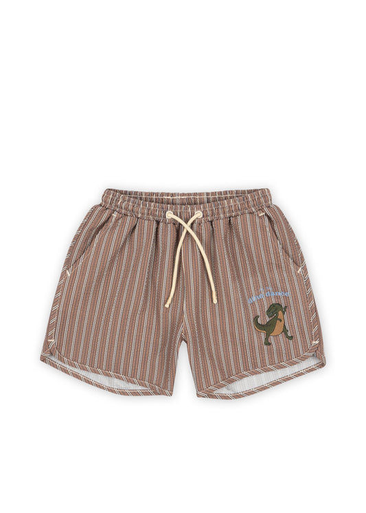 Seer Asnou Swimshort - Tigers Eye