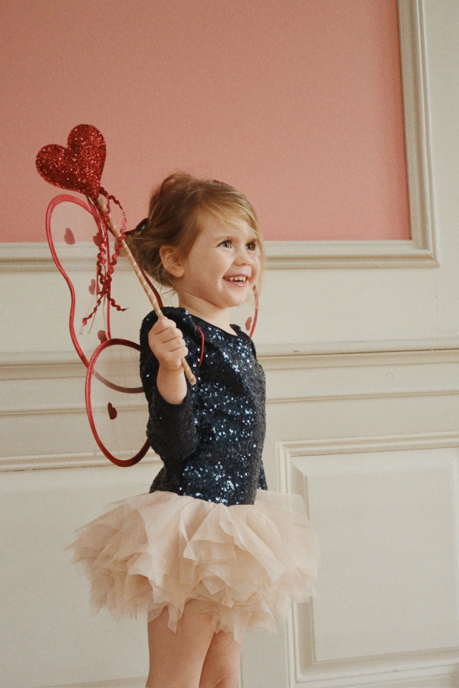 Fairy Costume - Heart