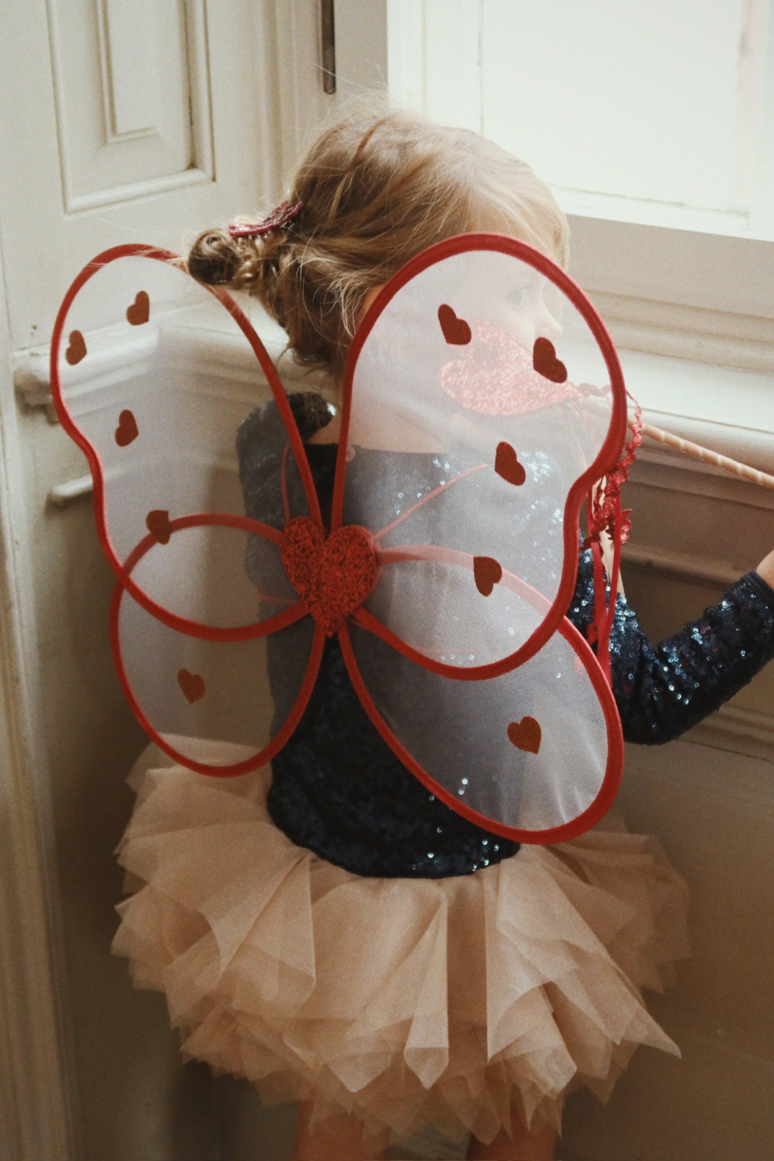Fairy Costume - Heart